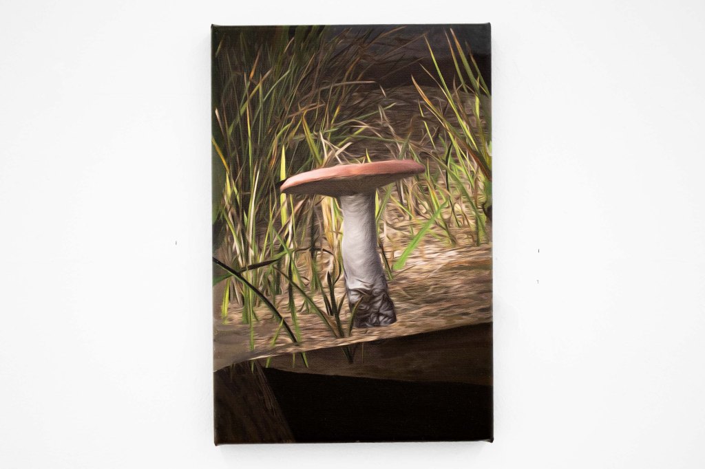 Prefab_mushroom_sickener_03, 2024