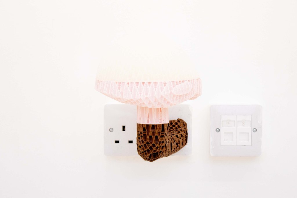 Mountain Environment (mushroom_scarletina_bolete_03), 2024