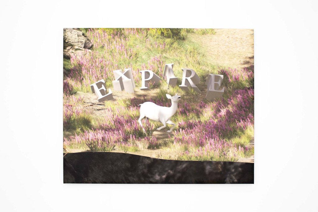 EXPIRE, 2024