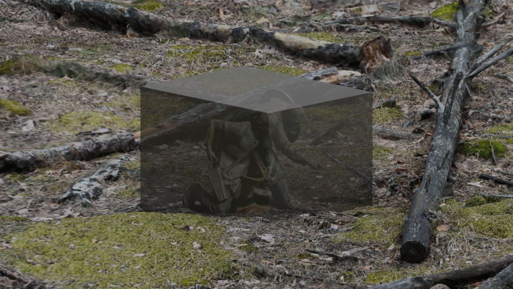 Vitrine, 2025